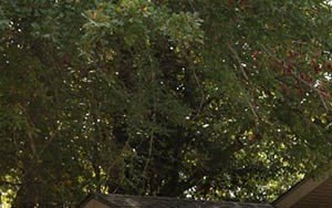 Fort Stewart Family Homes | Family housing at Fort Stewart, GA | Photos